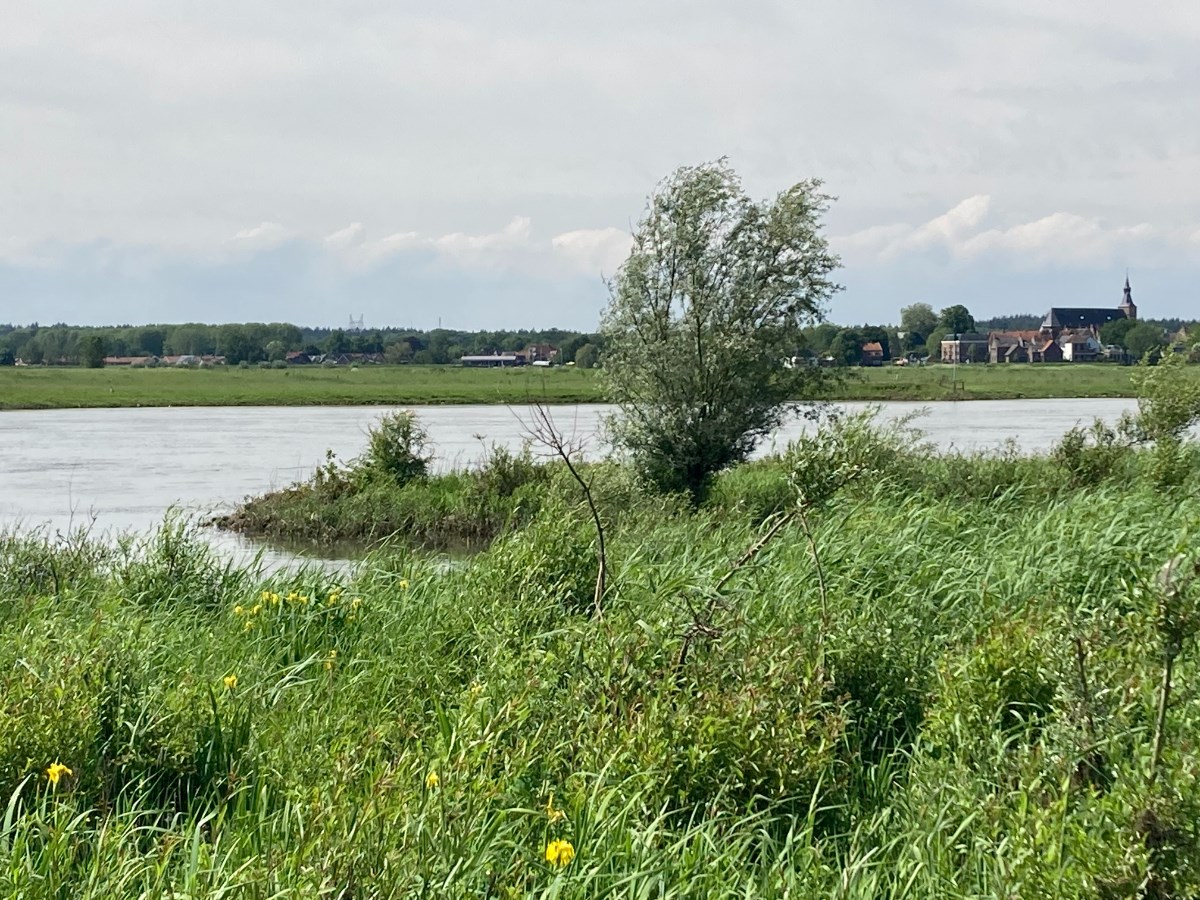 Een rivier omringd door groene begroeiing met een dorp op de achtergrond.